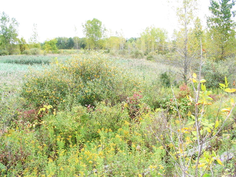 Thunder Road Speedway - Sept 2004 Photo (newer photo)